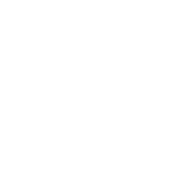 PayFlexio Logo